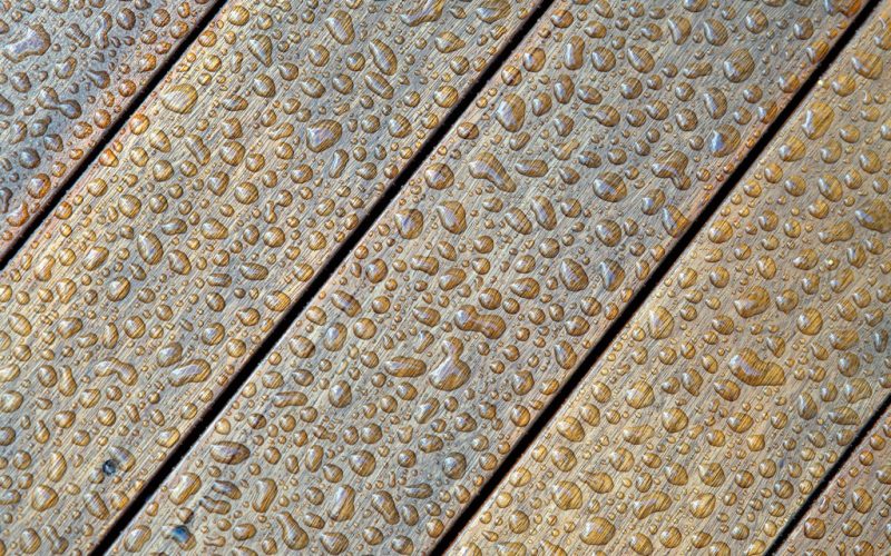 Srovnání podlah: vinyl, SPC, dřevo – co vydrží nejvíc?