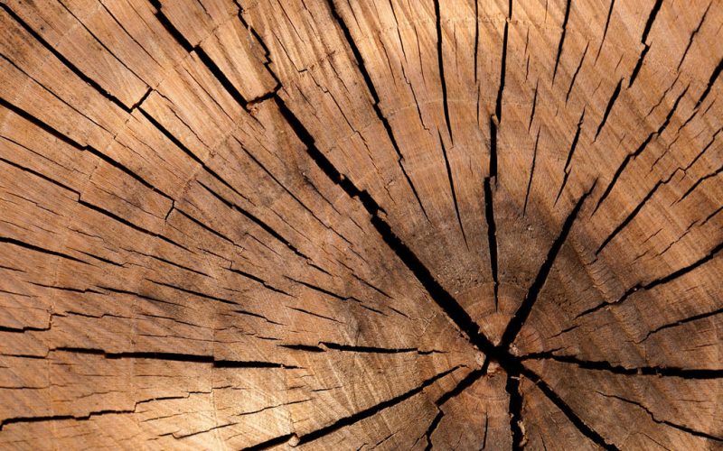 Zelené materiály: Jak rekonstruovat udržitelně a neprodělat