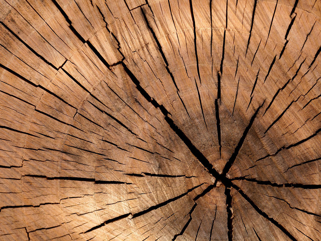 Zelené materiály: Jak rekonstruovat udržitelně a neprodělat